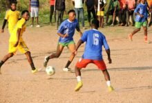 daily sports game updates