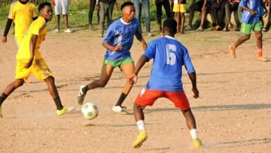 daily sports game updates