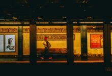 digital platform exploration significance