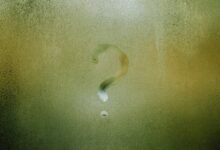 fetlife name significance explored