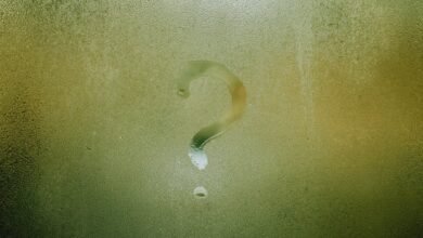 fetlife name significance explored