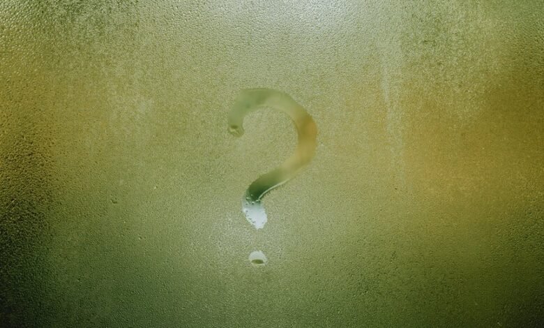 fetlife name significance explored