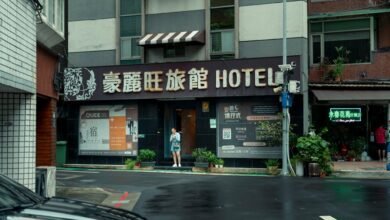 harem hotel cheat code guide