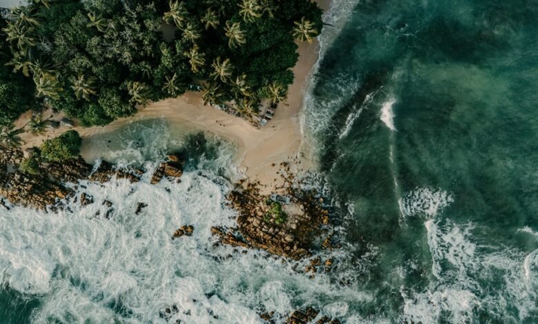 harem hotel cheat code