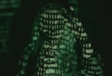 harem hotel guidelines explained