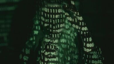 harem hotel guidelines explained