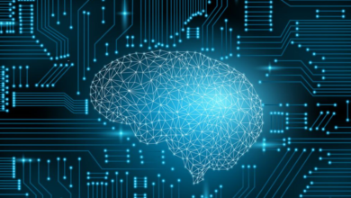 How Machine Learning Works