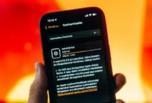 qilfozitowiz new features update
