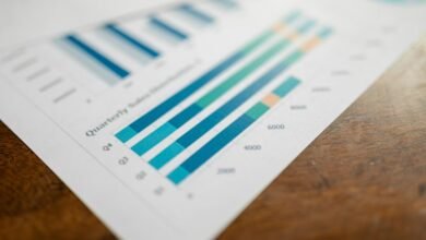 statistical data overview report